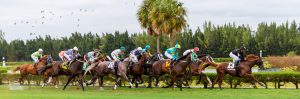 Pegasus Race Gulfstream